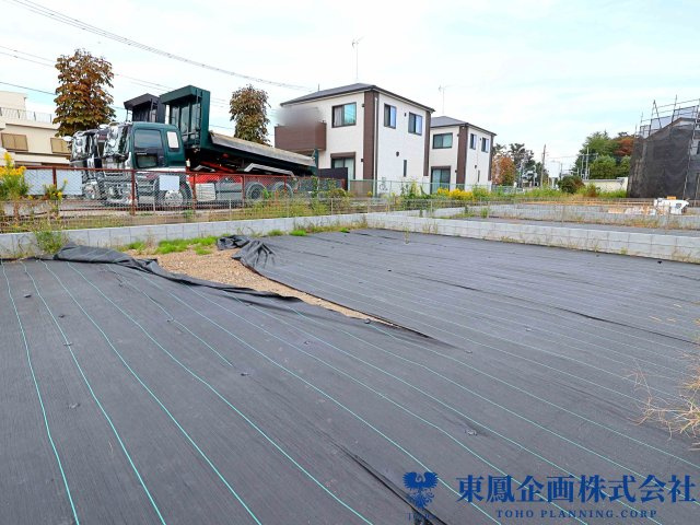 撮影日：2026年10月