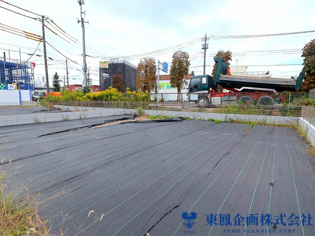 撮影日：2026年10月