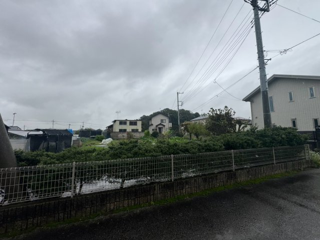 外観：311002492335