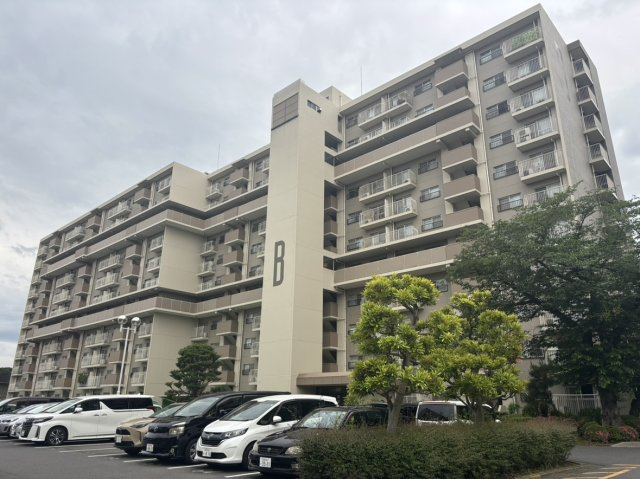 外観：312001308094