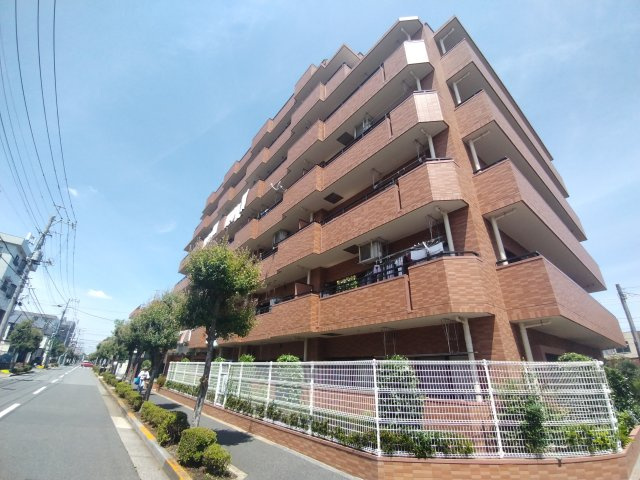 外観：313004867820