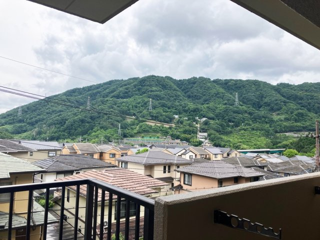 展望
