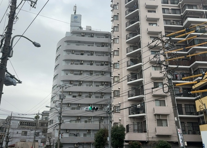 外観：313004648502