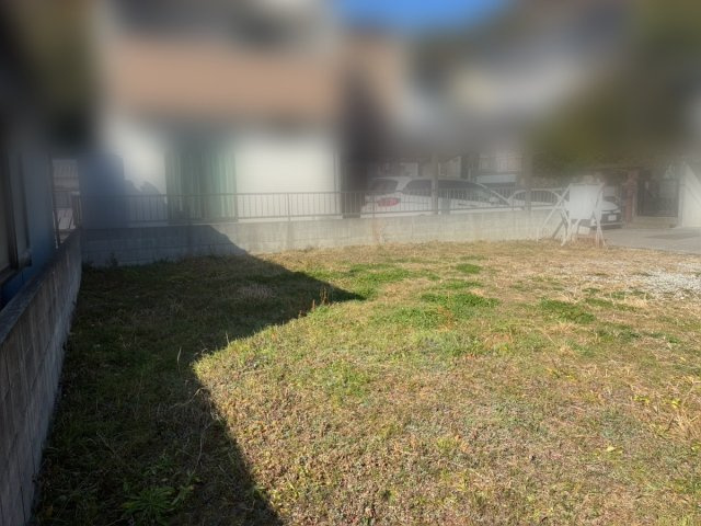外観：339000053306