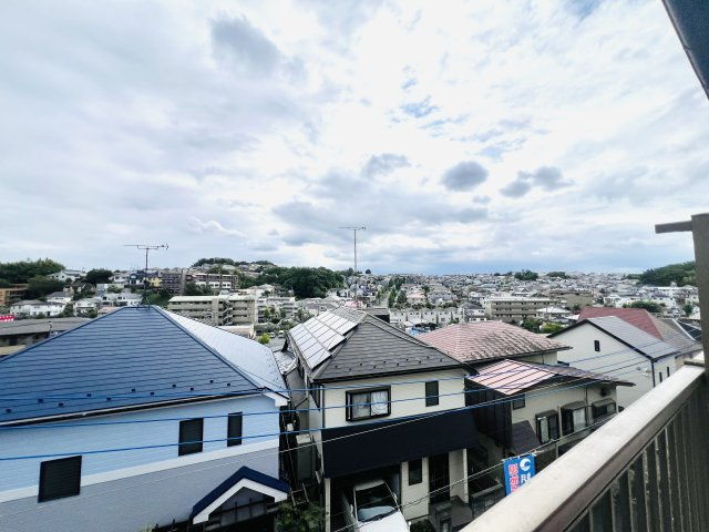 現地眺望