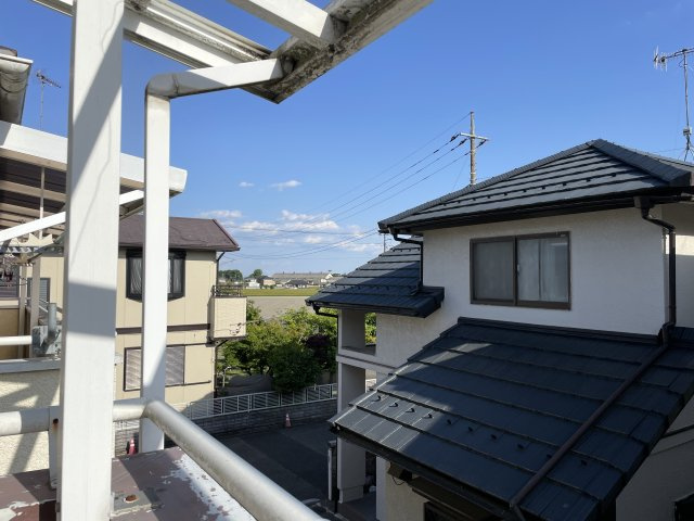展望