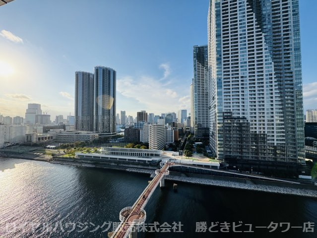 外観：313004932973