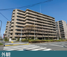 外観：313004697892