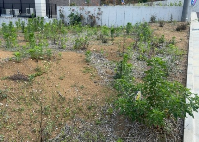 土地探しをしていると都市計画区域という言葉を目にすると思います。法律によって、都道府県知事や国土交通大臣が指定するエリアのことを指しており、都市計画区域は市街化区域と市街化調整区域に分けられています。