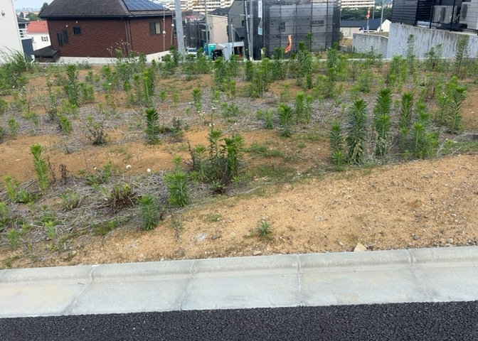 土地購入を検討されている場合、境界杭がない状態で購入してしまうと境界確定測量をする必要があり、費用がかかります。購入の前に、売主、隣土地所有者立ち合いのもと境界を確定し境界杭を設置するのがベストです。