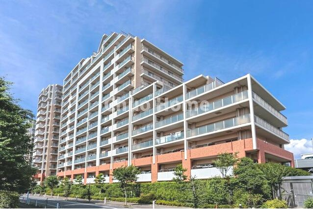 外観：313004634674