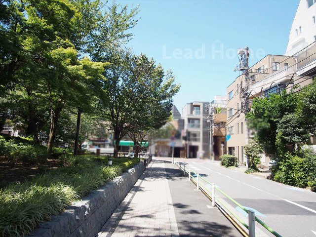 緑の街路樹が彩る見通しの良いフラットな前面道路！歩道が整備されており毎日のお散歩やお出かけも安心です♪