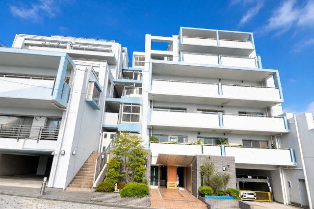 外観：314002674456