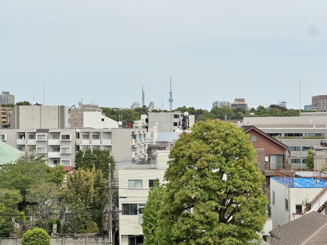 広大なルーフバルコニーで、東京スカイツリーの夜景も独り占め