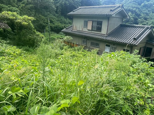 外観：346000041571