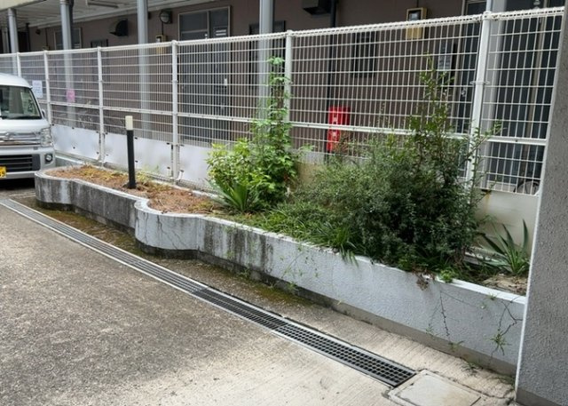 中庭（パティオ）とは、一つの建築物の内部に設けられた、壁などで囲われている庭のことを指します。コの字型、ロの字型が主流ですが、L字型の中庭もあります。最近では、インテリア性の高さからも人気があります。