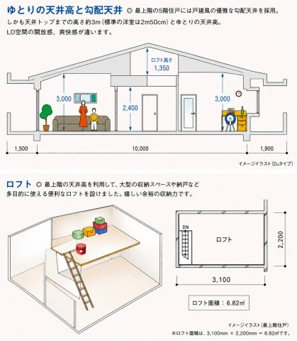 天井高は最大3ｍ。多目的収納のロフト付き