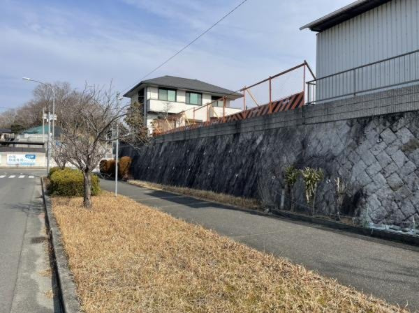 南西側植込みから見た現地写真。
