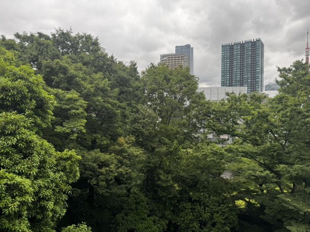 深い緑の借景と、その先にそびえる都心の高層ビル群。まさにこの地ならではの贅沢なコントラスト。
