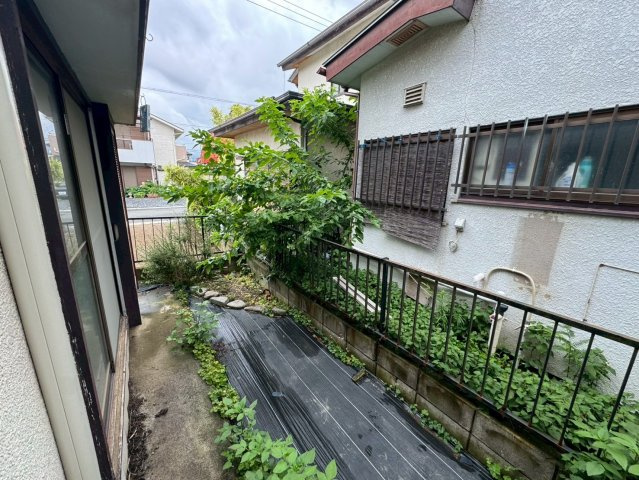 庭