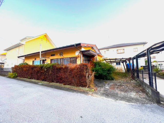 外観：309000084969