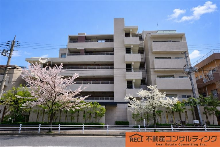 外観：328000621391