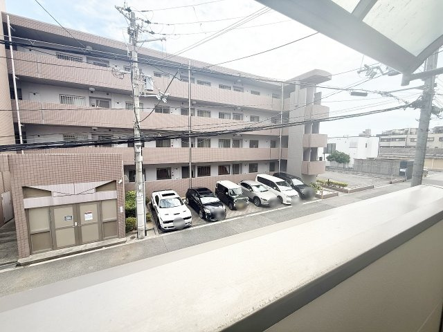 展望