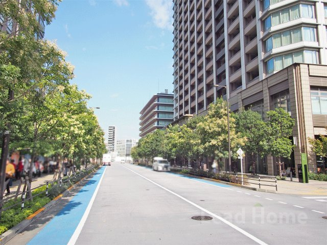 街路樹が綺麗に並ぶ開けた前面道路！道幅にゆとりがありお車の運転や出入りもスムーズに行えます！