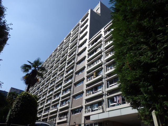外観：313004941351