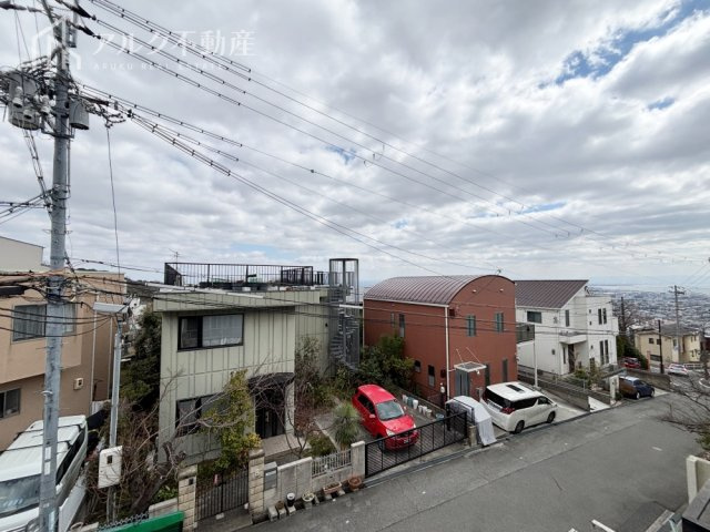 2026年3月9日撮影