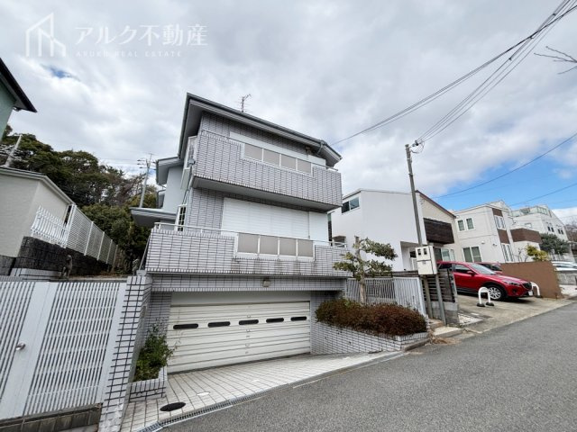 2026年3月9日撮影