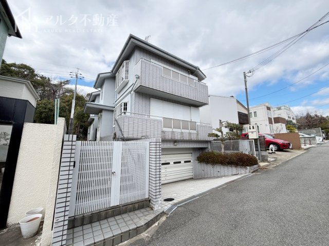 2026年3月9日撮影