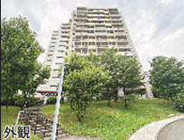 外観：313004174182