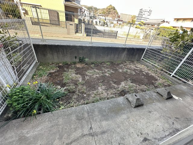 庭