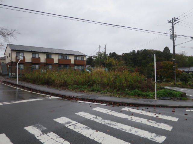 外観：307000077950