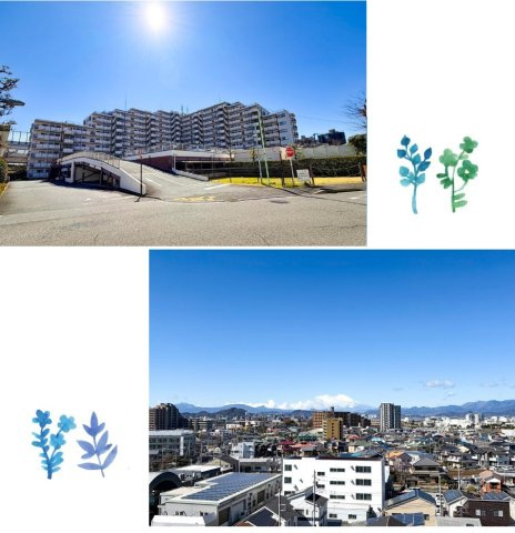 外観：314002702339