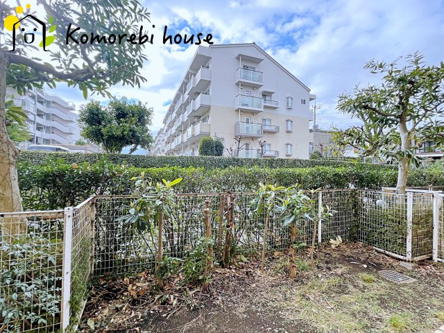 26.2.26　撮影済み