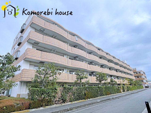 26.2.26　撮影済み