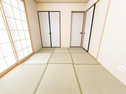 室内（2026年5月）撮影