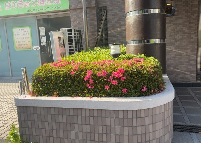 物件によっては、入居者が個人的に使用できる専用庭がついているものもあります。また、住宅の中にある土間の部分を庭と呼ぶこともあります。庭の用途は住む人によって変わり、それによってデザインもさまざまです。