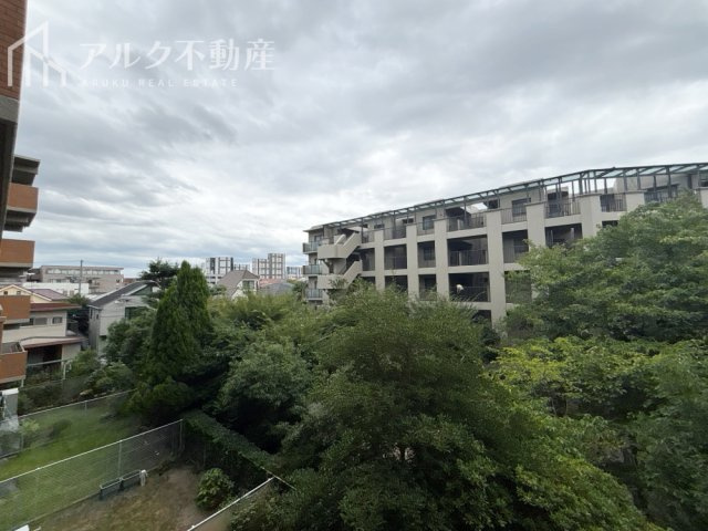 展望