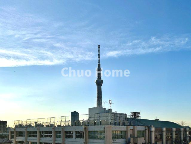 手を伸ばせば、ふれることが出来そうな環境が、そのままインテリアになったような印象です。その豊かな眺望にふさわしい空間には、通風・採光にも優れ、心地よい光と風があふれています