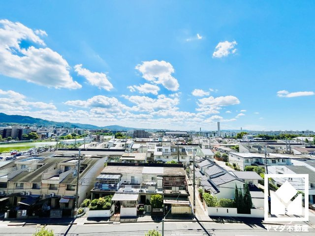 展望