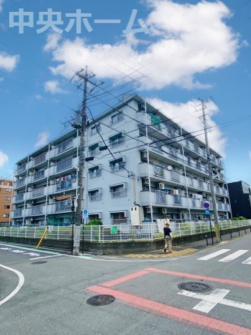 外観：313004634783