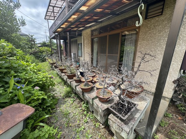 庭