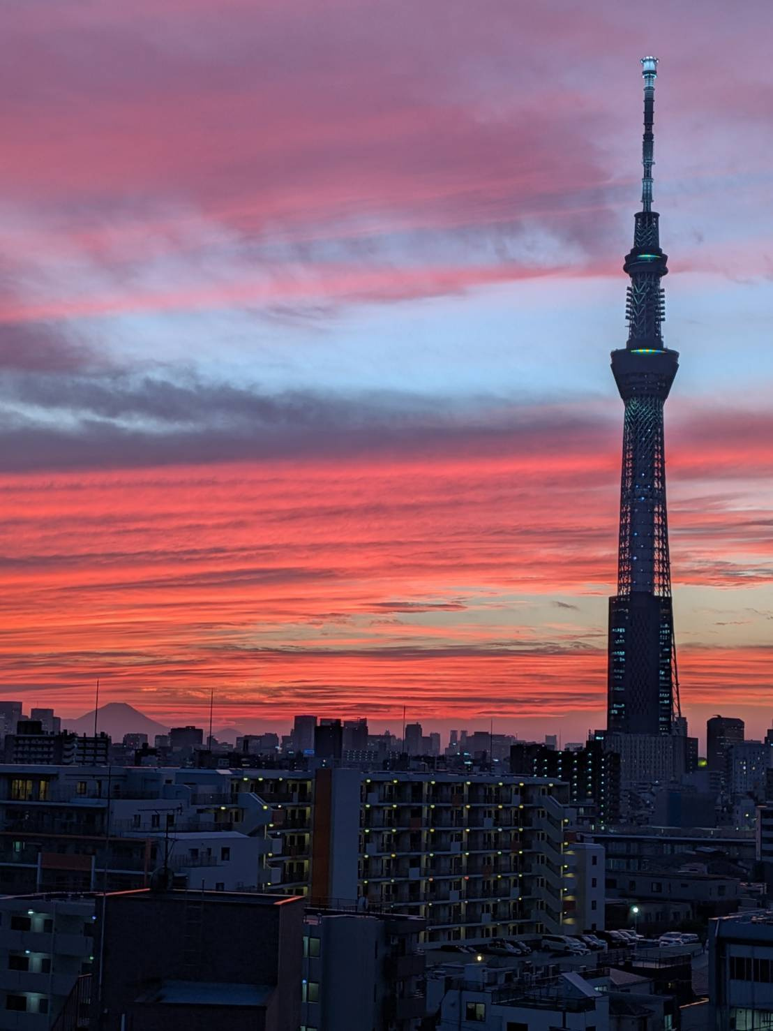 北西側眺望　東京スカイツリーと夕焼けをご覧頂けます！