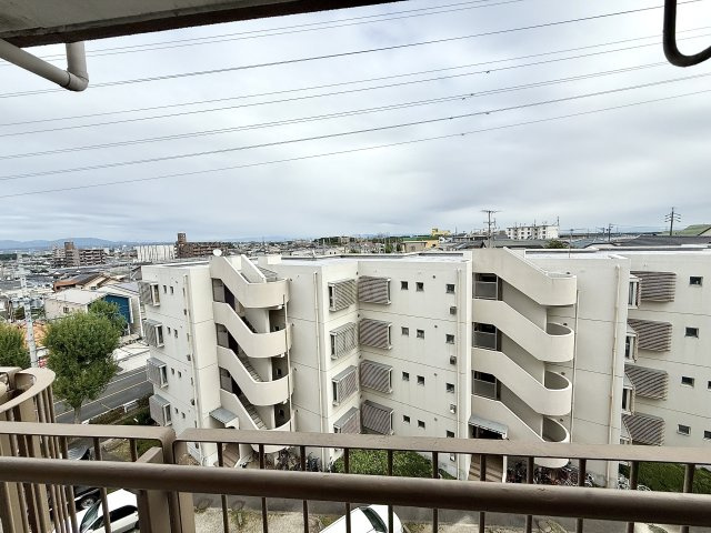 展望