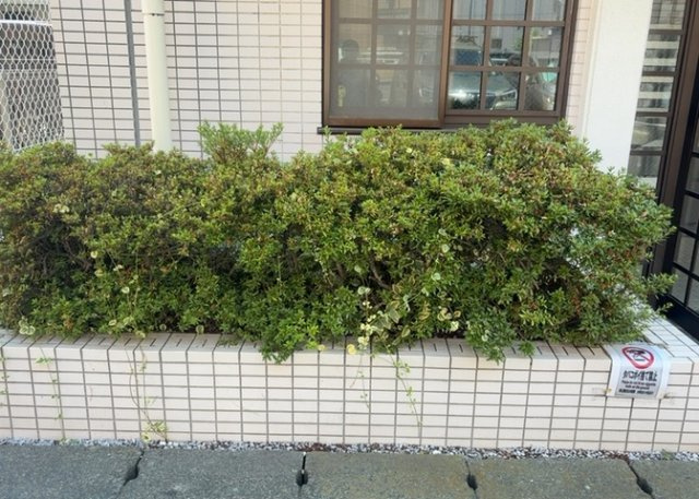 物件によっては、入居者が個人的に使用できる専用庭がついているものもあります。また、住宅の中にある土間の部分を庭と呼ぶこともあります。庭の用途は住む人によって変わり、それによってデザインもさまざまです。
