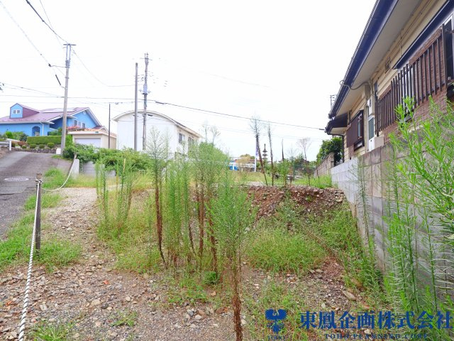 撮影日：令和8年9月
