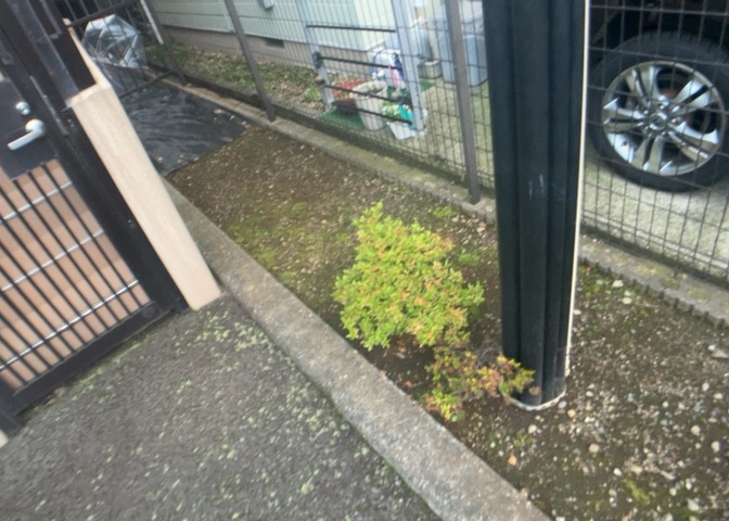 中庭（パティオ）とは、一つの建築物の内部に設けられた、壁などで囲われている庭のことを指します。コの字型、ロの字型が主流ですが、L字型の中庭もあります。最近では、インテリア性の高さからも人気があります。